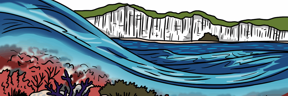 MakingSpaceforNAture_1_Border_4_Beach_ChalkReef Copy Aspect Ratio 1200 400