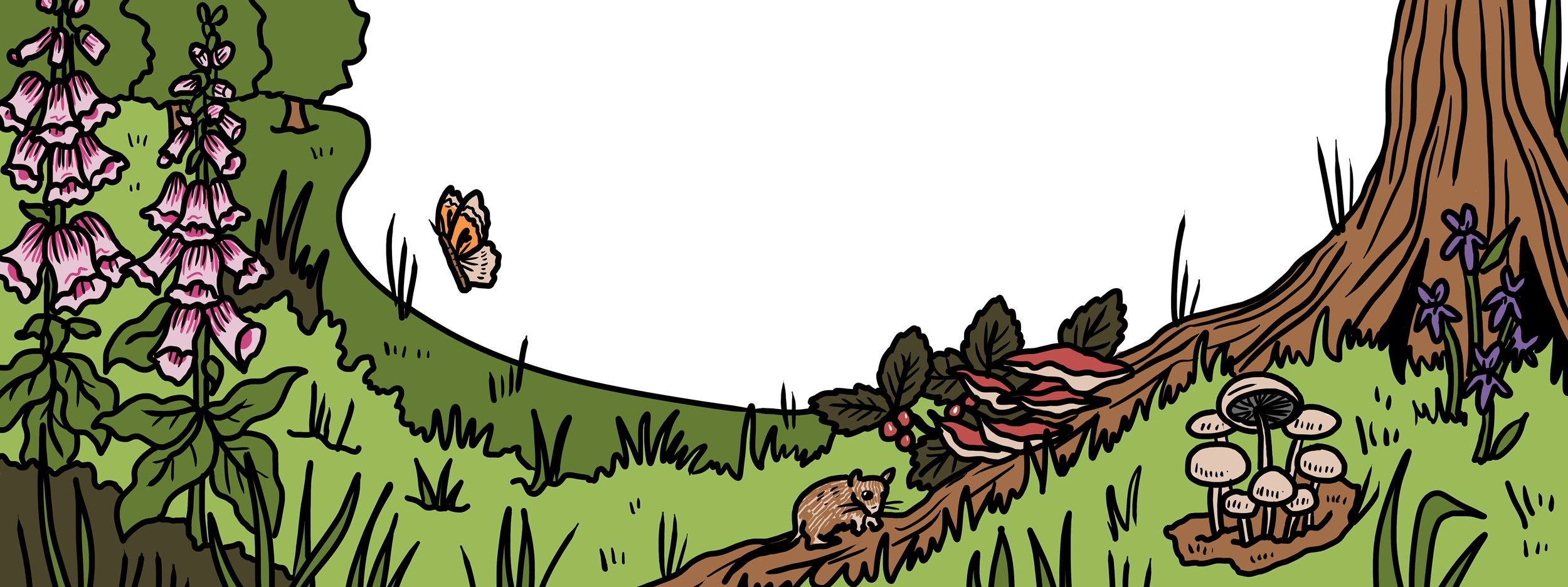 MakingSpaceforNAture_1_Border_5_Woodland Copy LR1 Aspect Ratio 1280 480