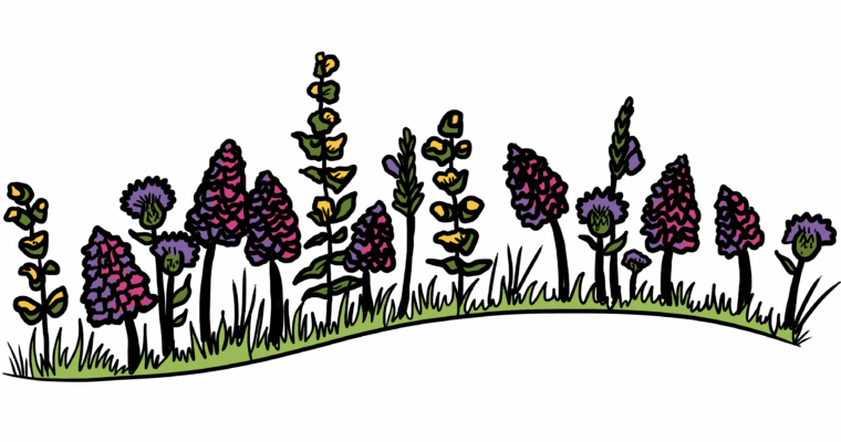 MakingSpaceforNAture_2_Farmland_3_Flowers_Full Copy 1 Aspect Ratio 760 400