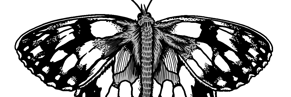 MakingSpaceforNAture_2_Farmland_3_MarbledWhiteButterfly Copy Scaled Aspect Ratio 1200 400