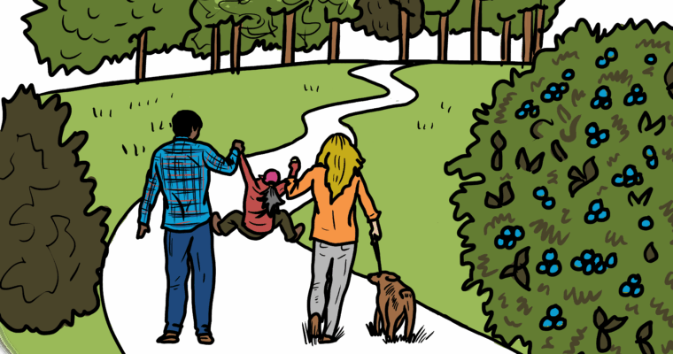 MakingSpaceforNAture_4_Urban_2_PeopleWalkingNature_4 Copy Scaled Aspect Ratio 760 400