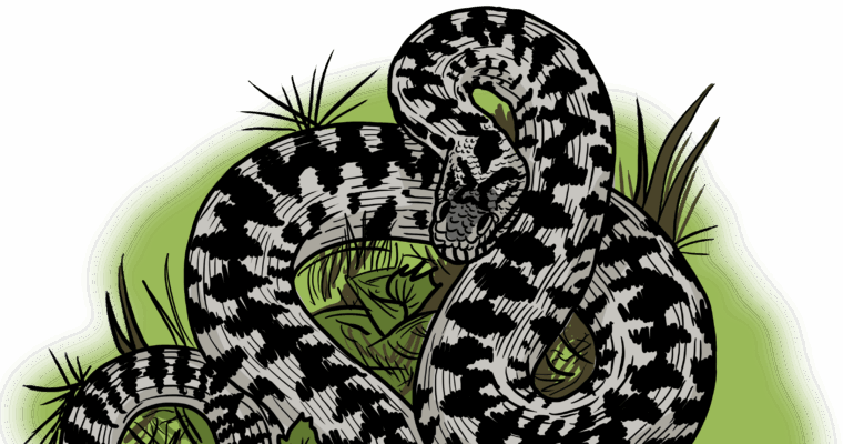 MakingSpaceforNAture_6_Freshwater_17_adder Copy Scaled Aspect Ratio 760 400