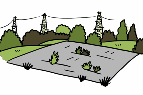 MakingSpaceforNature_LNRS_AmbitionsPriorities_2_Asset6 Resized Aspect Ratio 480 320