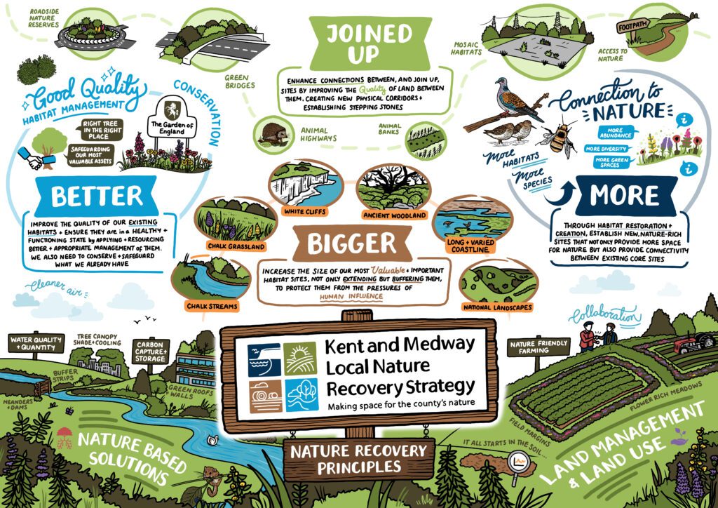 MakingSpaceforNature_OverallStrategy_Visual_v3 Copy