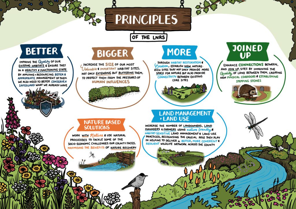 MakingSpaceforNature_ReportAssets_3_Principles_a_v2 Copy