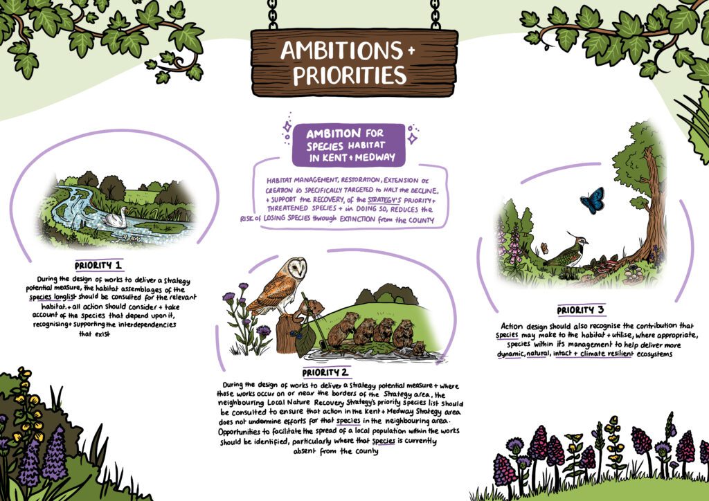 MakingSpaceforNature_ReportAssets_4_Ambitions+Priorities_4_v1 Copy