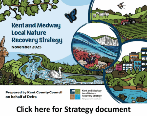 Strategy Document Button