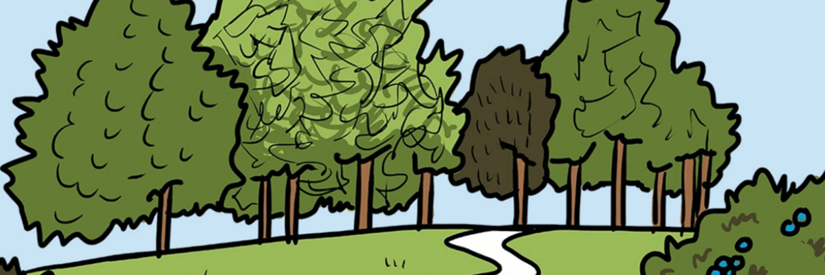 Banner Aspect Ratio 1200 400