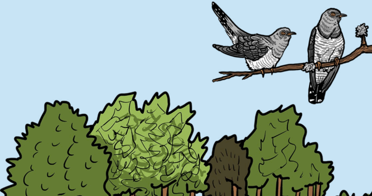 Banner Aspect Ratio 760 400