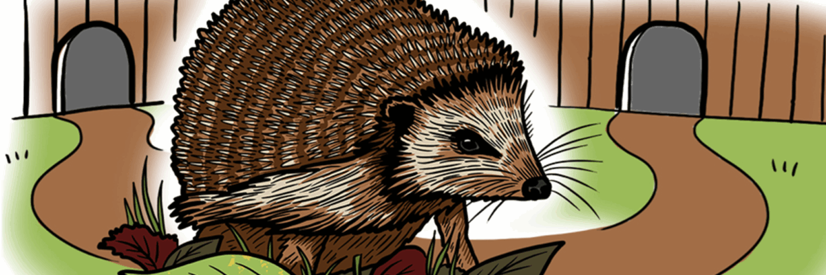 Hedgehog Edit Aspect Ratio 1200 400